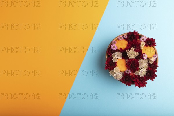 Wooden bowl with carrot slices and red Chrysanthemum flowers, Astrantia flowers, flower salad on blue and orange pastel paper background, top view, flat lay, copy space, minimalism