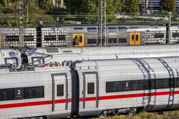 ICE trains on the railway line, RRX, Rhine-Ruhr-Express, regional train, north of Düsseldorf main station, North Rhine-Westphalia, Germany