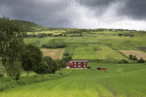 Bauernhof inmitten von Felder, üppiges Budsjord, Dovre, Gudbrandsdalen oder Gudbrandstal, Norwegen