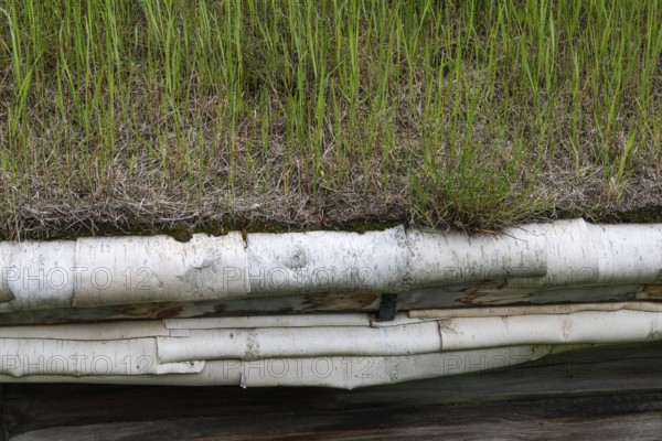 Ein mit Gras bedecktes Dach mit Verkleidung aus Birkenrinde, historischer Bauernhof und Pilgerunterkunft Budsjord, Dovre, Pilgerweg Olavsweg oder Olavsleden, Gudbrandsdalen oder Gudbrandstal, Norwegen