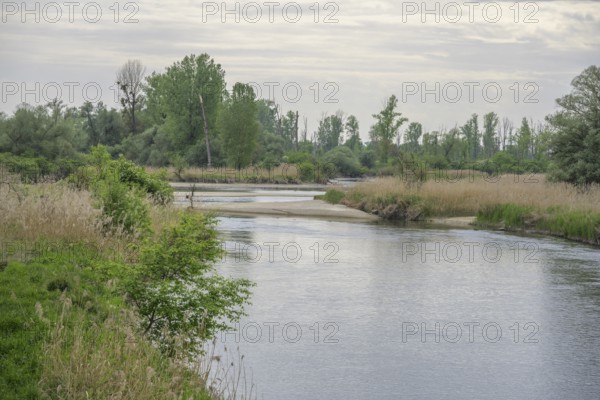 Blick vom Aussichtsturm auf die Isar, Plattling, Bayern, Deutschland