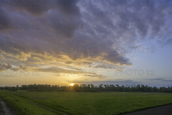 Sonnenuntergangsstimmung beim Damm, Infozentrum Isarmündung, Moos, Bayern, Deutschland