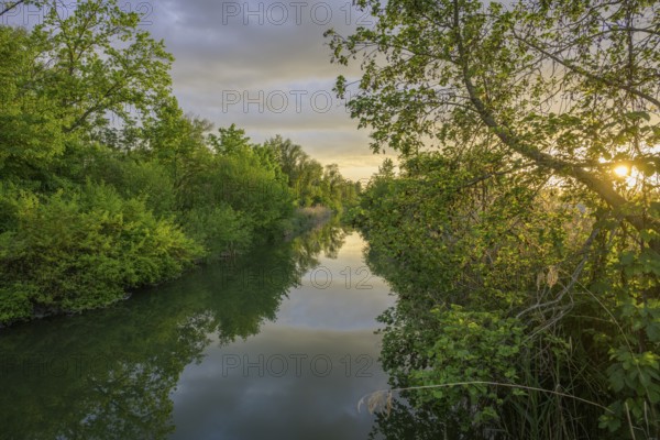Sonnenuntergangsstimmung beim Grafenmühlbach, Infozentrum Isarmündung, Moos, Bayern, Deutschland