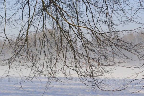 Winterlandschaft, aufsteigender Bodennebel im Licht der Morgensonne, Nordrhein-Westfalen, Deutschland