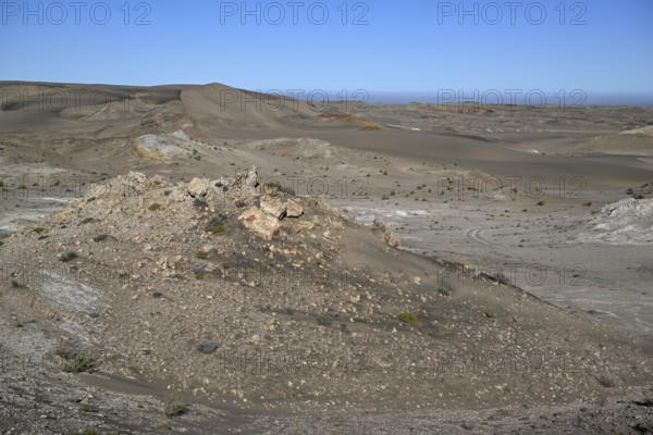 Wüstenlandschaft bei Pomona, im Hintergrund der Atlantik, Diamentensperrgebiet, bei Lüderitz, Region Karas, Namibia