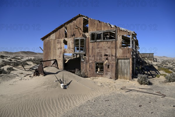 Schädel einer Oryx-Altilope (Oryx gazella) vor einer Ruine der ehemaligen Diamantenstadt Pomona, Diamentensperrgebiet, bei Lüderitz, Region Karas, Namibia