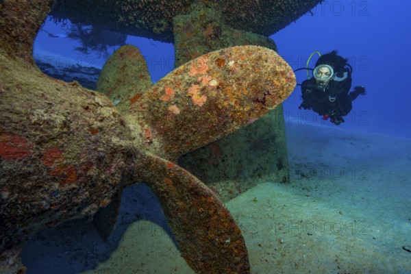 Unterwasserfoto von Taucherin blickt auf betrachtet Schiffsschraube von untergegangenes Schiff Schiffswrack, Indischer Ozean