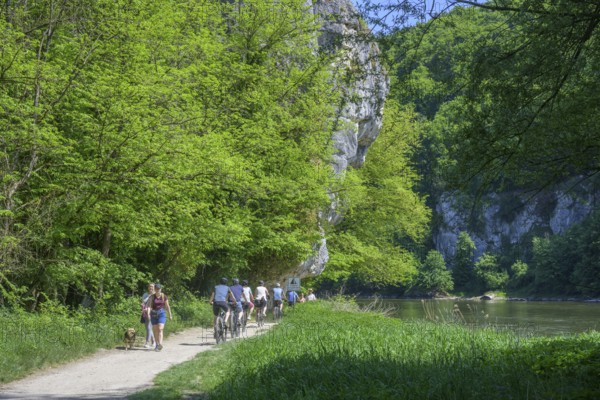 Radfahrer entlang der Donau vom Kloster Weltenburg nach Kelheim, Kelheim, Bayern, Deutschland