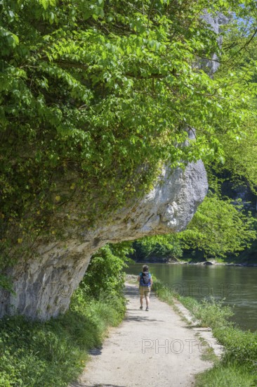 Weg beim hohlen Stein-Bienenkorb, Wanderung entlang der Donau vom Kloster Weltenburg nach Kelheim, Kelheim, Bayern, Deutschland