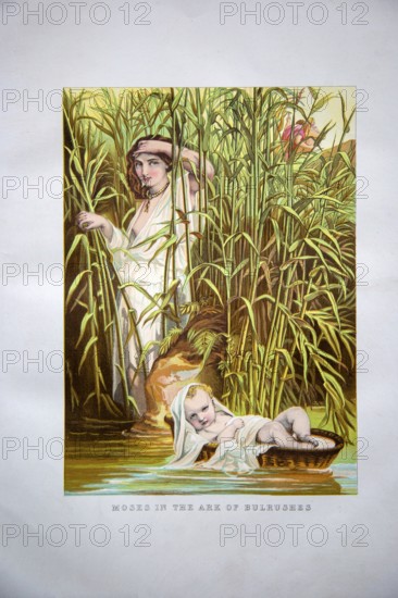 Nineteenth century Victorian Bible story illustration in Chromo-Lithography, Moses in the Ark of Bulrushes