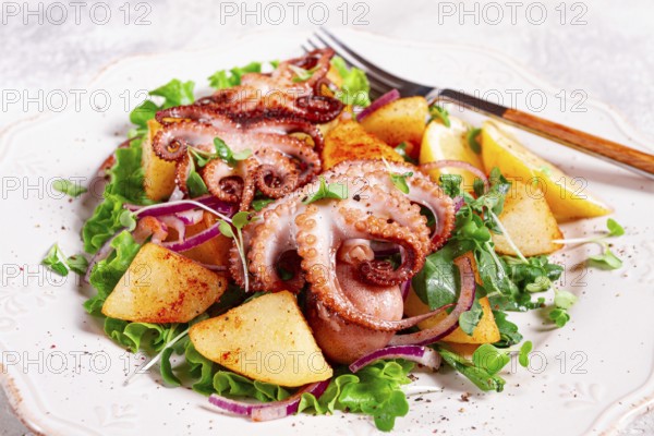 Grilled octopus with baked potatoes and fresh herbs, on a decorative light plate, homemade, no people