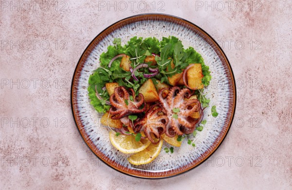 Grilled octopus with baked potatoes and fresh herbs, on a decorative plate, homemade
