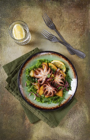 Warm salad, grilled mini octopus, with potatoes and fresh herbs, homemade, no people