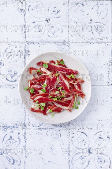 Ham of duck breast, dried duck fillet, with microgreens, plate, on a tiled table