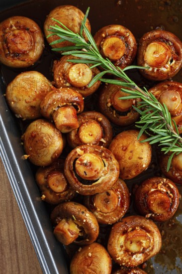 Fried mushrooms, with spices, in soy sauce, vegetarian food, homemade, no people