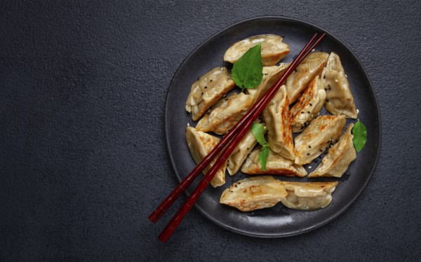 Japanese fried gyoza dumplings, with pork, sesame seeds, green onions