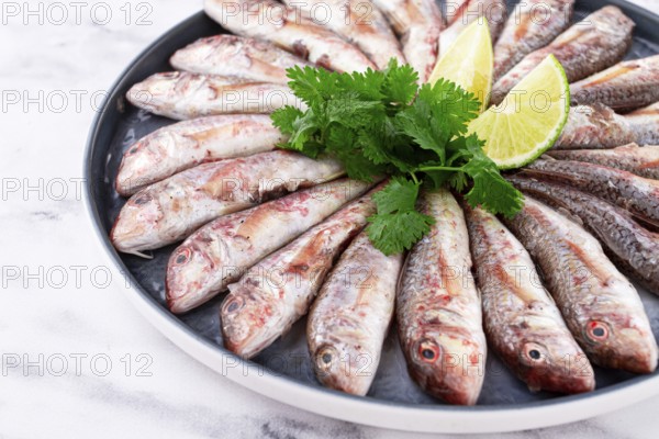 Fresh mullet fish, laid out on a large platter, garnished with lime slices and cilantro, top view