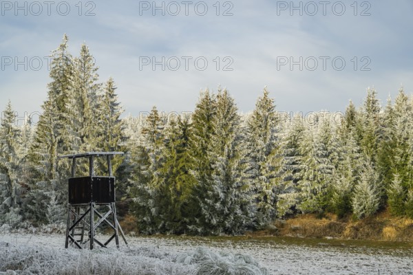 Hunting pulpit on a meadow in a valley surrounded by a mixed forest with norway spruce (Picea abies) and European beech (Fagus sylvatica) white from roarfrost, on a sunny day in winter, Bavaria, Germany