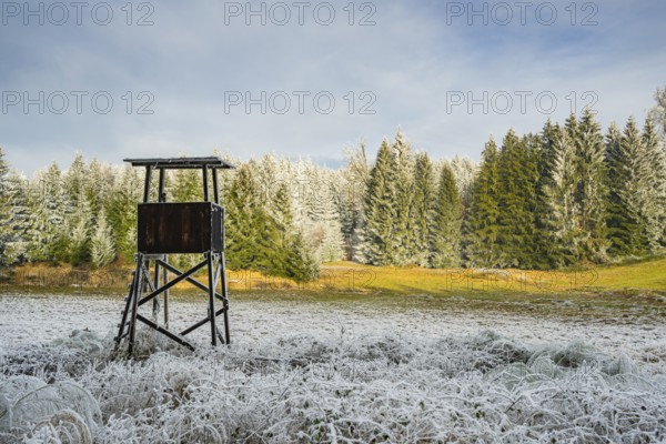 Hunting pulpit on a meadow in a valley surrounded by a mixed forest with norway spruce (Picea abies) and European beech (Fagus sylvatica) white from roarfrost, on a sunny day in winter, Bavaria, Germany