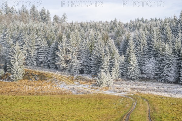 Forest road going through a beautiful landscape with forest, meadows and bushes, white from roarfrost, on a sunny day in winter, Bavaria, Germany