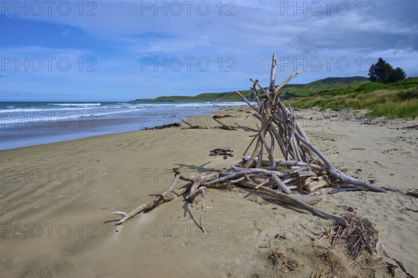 Treibholzform Zelt am naturbelassenen Strand mit Blick auf Meer und Himmel, Kaka Point, Clutha District, Otago, Südinsel, Neuseeland