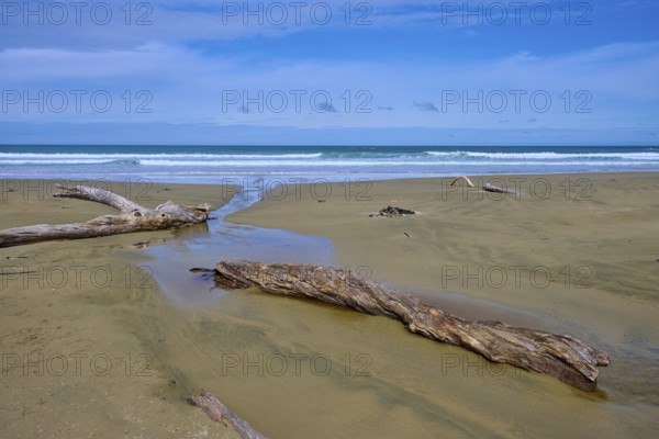 Sandiger Strand mit Treibholz und Blick auf das entspannte Meer und den blauen Himmel, Kaka Point, Clutha District, Otago, Südinsel, Neuseeland