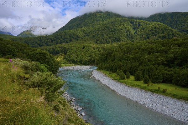 Ein klarer Fluss schlängelt sich durch eine grüne Waldlandschaft mit Bergen im Hintergrund unter einem bewölkten Himmel, Makarora River, Blue Pools, Haast Pass, Makarora Road, Haast, Südinsel, Neuseeland