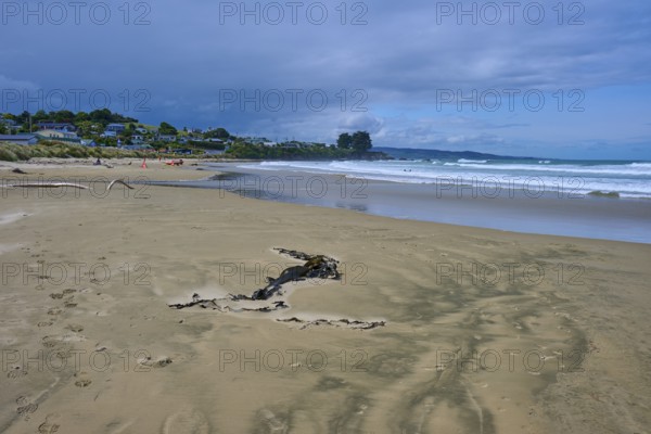 Weitläufiger Strand mit Meer, Wellen und entfernten Häusern unter einem leicht bewölkten Himmel, Kaka Point, Clutha District, Otago, Südinsel, Neuseeland