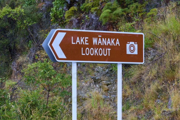 Schild mit der Aufschrift 'Lake Wanaka Lookout' und einem Kamerasymbol, Lake Wanaka, The Neck, Otago, Südinsel, Neuseeland