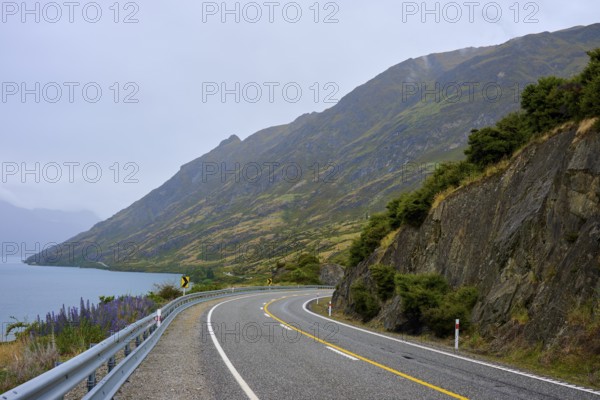 Küstenstraße mit Felsen und Vegetation unter einem bewölkten Himmel, Lake Wanaka, The Neck, Otago, Südinsel, Neuseeland