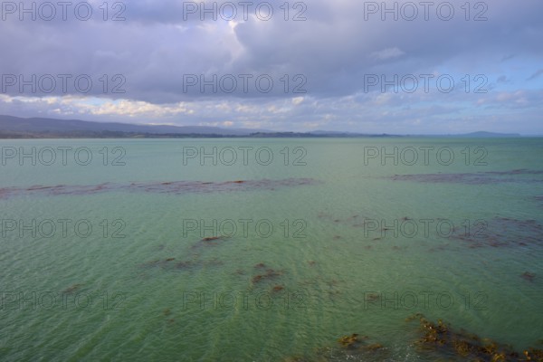 Grünes Wasser Meer breitet sich unter einem bewölkten Himmel aus, Moeraki, Hampden, North Otago, Südinsel, Neuseeland