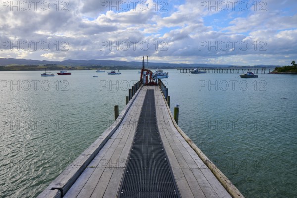 Ein Holzsteg führt ins Meer mit Booten und einer Brücke im Hintergrund, Moeraki, Hampden, North Otago, Südinsel, Neuseeland