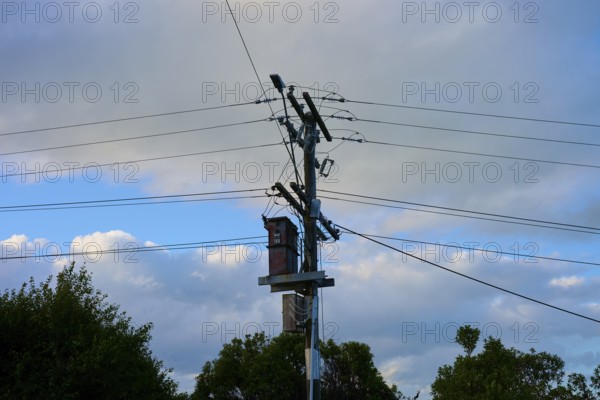 Ein Strommast mit Kabeln unter einem teils bewölkten, sonnigen Himmel, Moeraki, Hampden, North Otago, Südinsel, Neuseeland