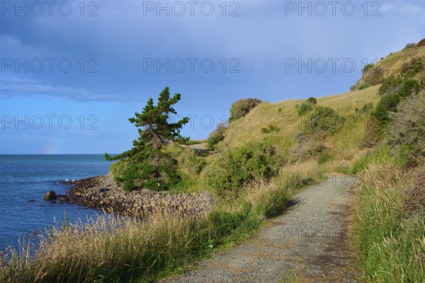 Ein Weg schlängelt sich entlang der Küste mit grasbewachsenen Hügeln, Moeraki, Hampden, North Otago, Südinsel, Neuseeland