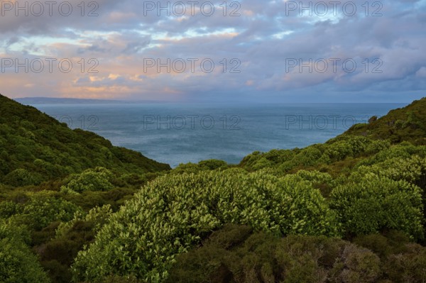 Blick auf das Meer zwischen grünen Hügeln unter einem bewölkten Abendhimmel, Nugget Point, Ahuriri Flat, Otago, Südinsel, Neuseeland