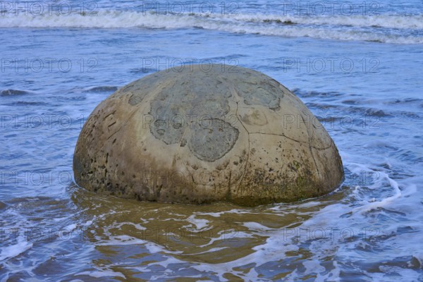 Ein großer runder Fels im seichten Wasser am Strand mit einem freien Blick auf das Meer, Moeraki Boulders, Moeraki, Hampden, North Otago, Südinsel, Neuseeland