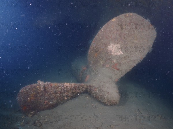 Large overgrown ship propeller of a wreck rests on the seabed in the dark. Dive site wreck of the Vis, Pula, Croatia, Mediterranean Sea