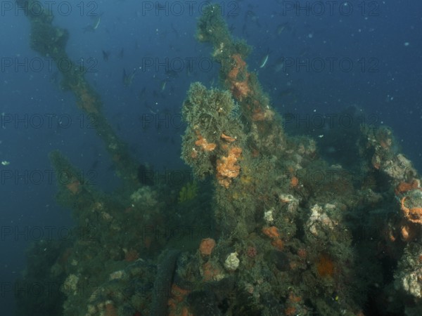 The superstructure of a shipwreck overgrown with algae and sponges in the deep ocean. Dive site wreck of the Giuseppe Dezza, Pula, Croatia, Mediterranean Sea