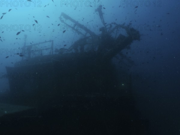 Dark shipwreck, surrounded by a school of fish, dark, mysterious atmosphere. Dive site Wreck of the Vis, Pula, Croatia, Mediterranean Sea