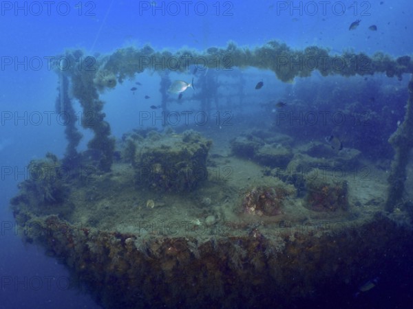 Bow of a shipwreck at depth, with fish, surrounded by blue water. Dive site Wreck of the Vis, Pula, Croatia, Mediterranean Sea