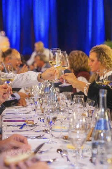 People toast with wine glasses at an elegant event