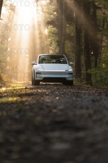 An SUV on a forest floor, illuminated by rays of light, surrounded by trees and natural surroundings, Tesla Model Y Juniper, Gechingen, Black Forest, Germany