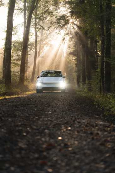 A car parked on a natural forest path while the morning sun shines through the trees, Tesla Model Y Juniper, Gechingen, Black Forest, Germany