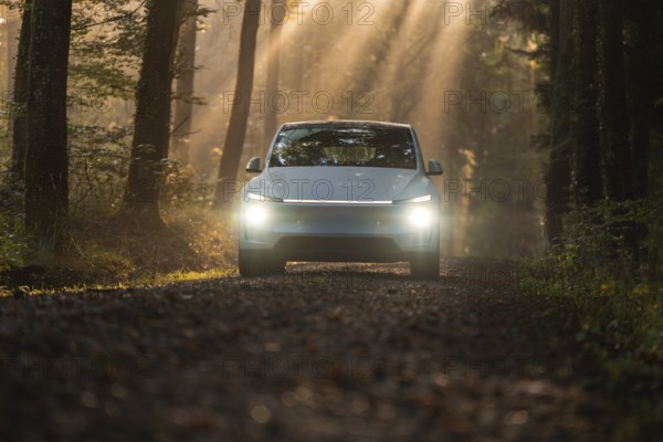 A car on a forest path, surrounded by trees and penetrated by the sun's rays at dawn, Tesla Model Y Juniper, Gechingen, Black Forest, Germany