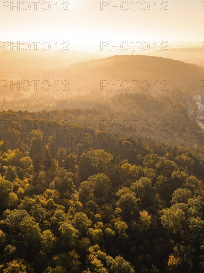 Foggy light falls on a wooded hilly landscape at sunrise, Hermann Hesse railway, Ostelsheim, Black Forest, Germany