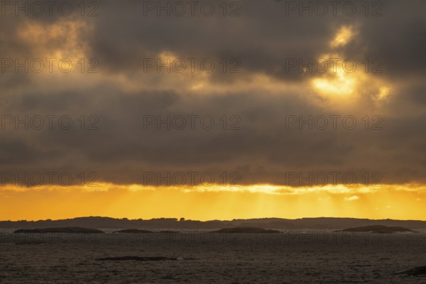 Dramatic evening mood, archipelago, Resö island, Bohuslän, Skagerrak, Sotenäs, Västra Götalands län, Sweden