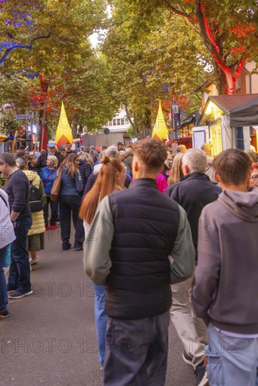 A busy street full of people illuminated by the colourful lights of a festival, Fire Night, Sindelfingen, Germany