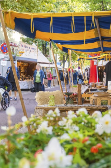 Lively market with blue and yellow tents, flowers in the foreground and many people shopping, Fire Night, Sindelfingen, Germany