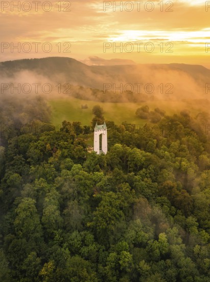 Tower in fog-shrouded forest at sunrise, soft morning light, Schönberg Tower, Pfullingen, Swabian Alb, Germany