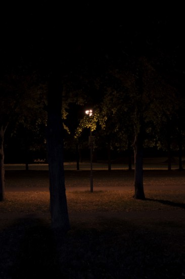Night shot of a street lamp standing between trees in the Herrenhausen Gardens, Herrenhausen, Hanover, Lower Saxony, Germany